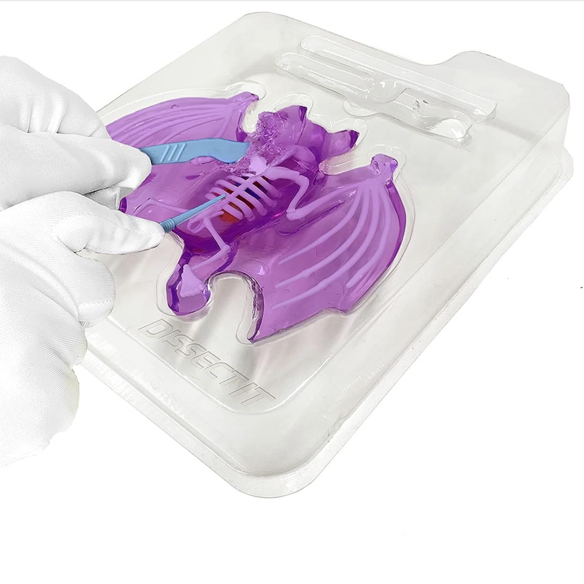 Dissect It Bat Lab — Child's Play Toys Store