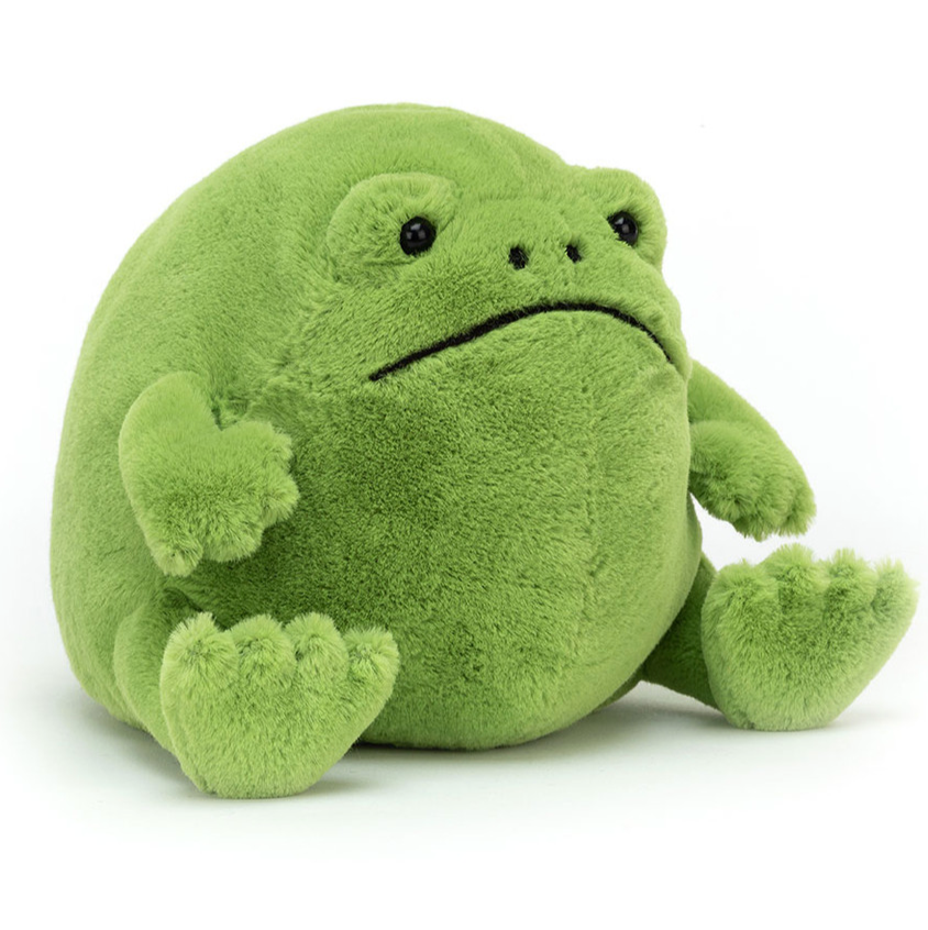 Ricky Rain Frog — Child's Play Toys Store