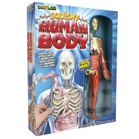 Smart lab you explore it human body model sales