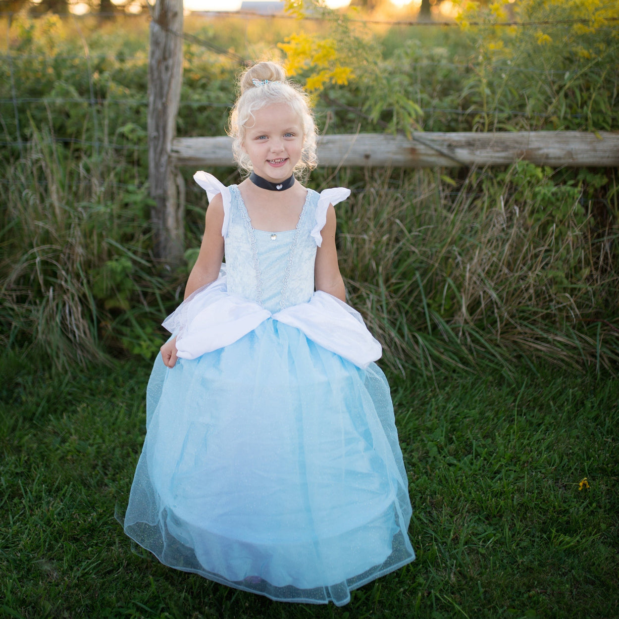 Deluxe Cinderella Gown Deluxe Cinderella Gown