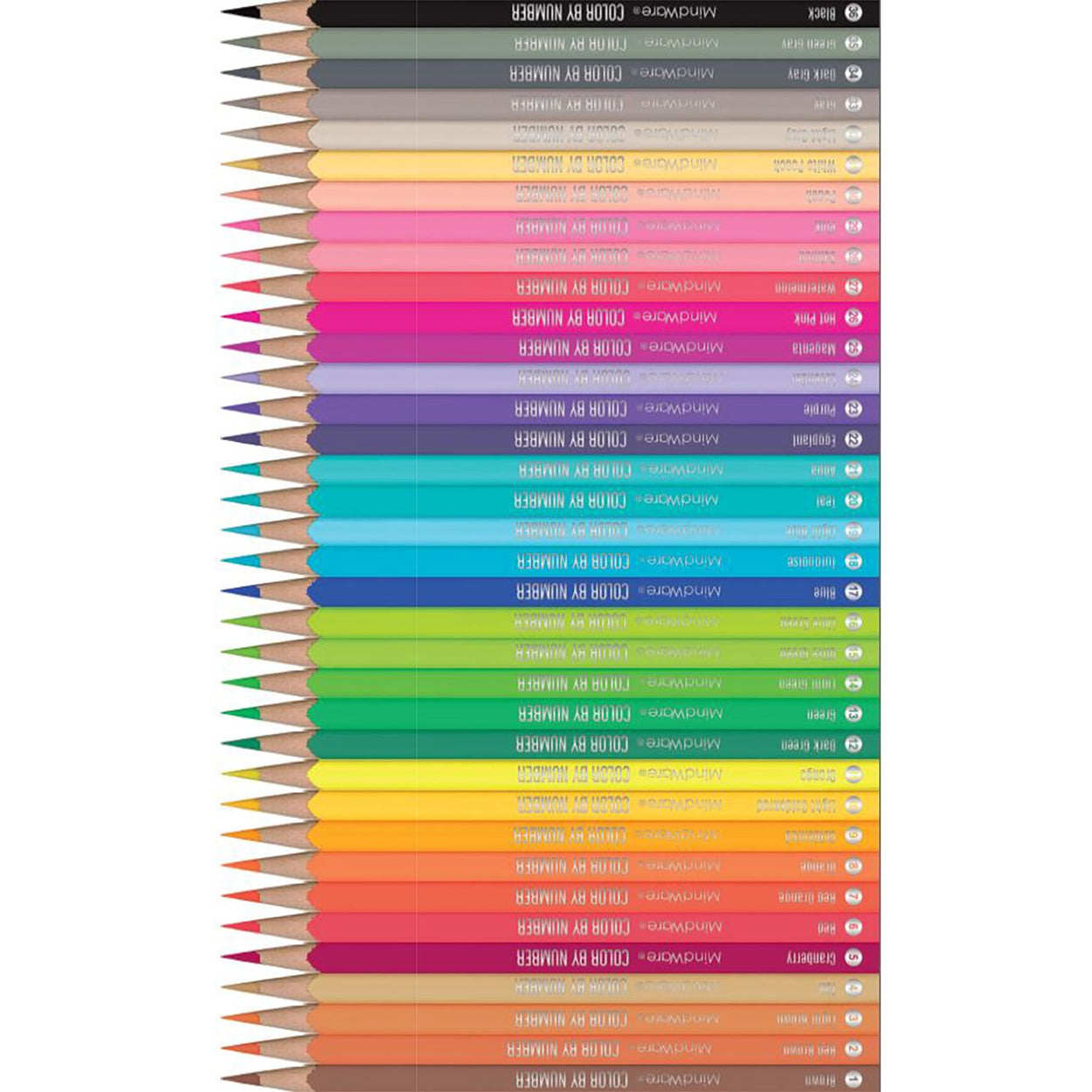 Set of 36 Color by Number Colored Pencils in a Tin