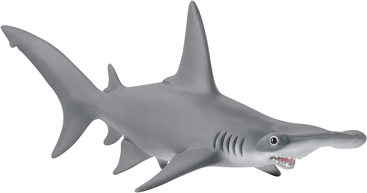 Tubarão Martelo / Hammerhead Shark - PlayGround Game Store