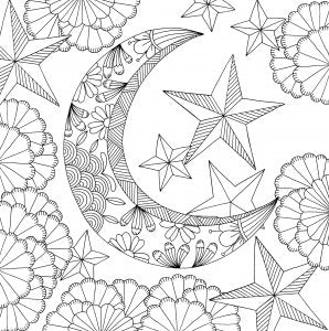 Dreams: Adult Coloring Book (Cool coloring books)